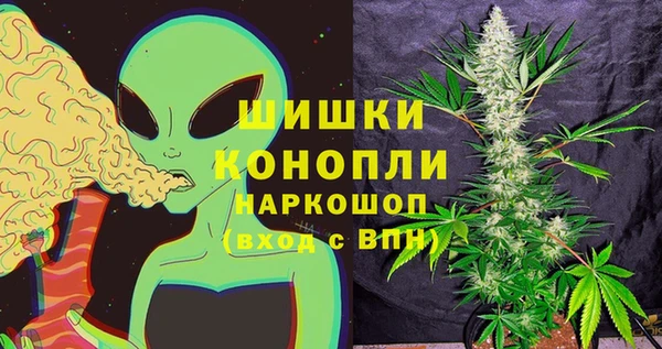 прущие грибы Богородицк