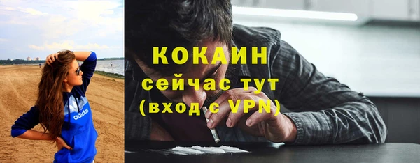 прущие грибы Богородицк