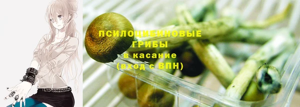 прущие грибы Богородицк
