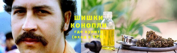 метадон Богданович