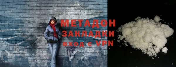 шишки Арсеньев