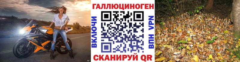 Галлюциногенные грибы мухоморы Пересвет